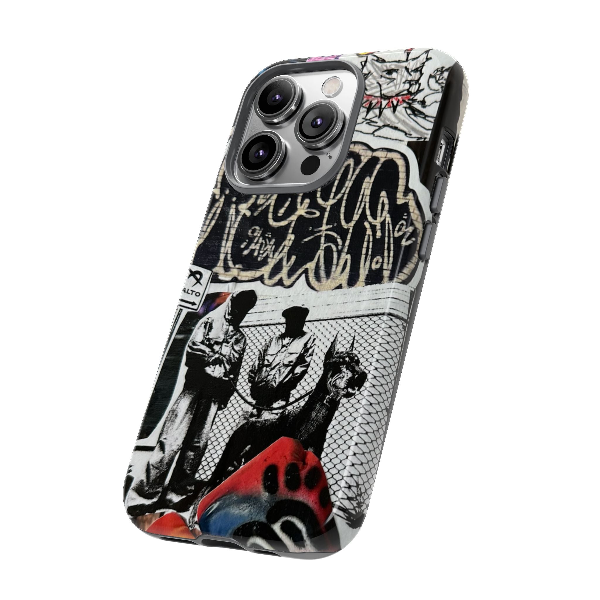 North Side Case
